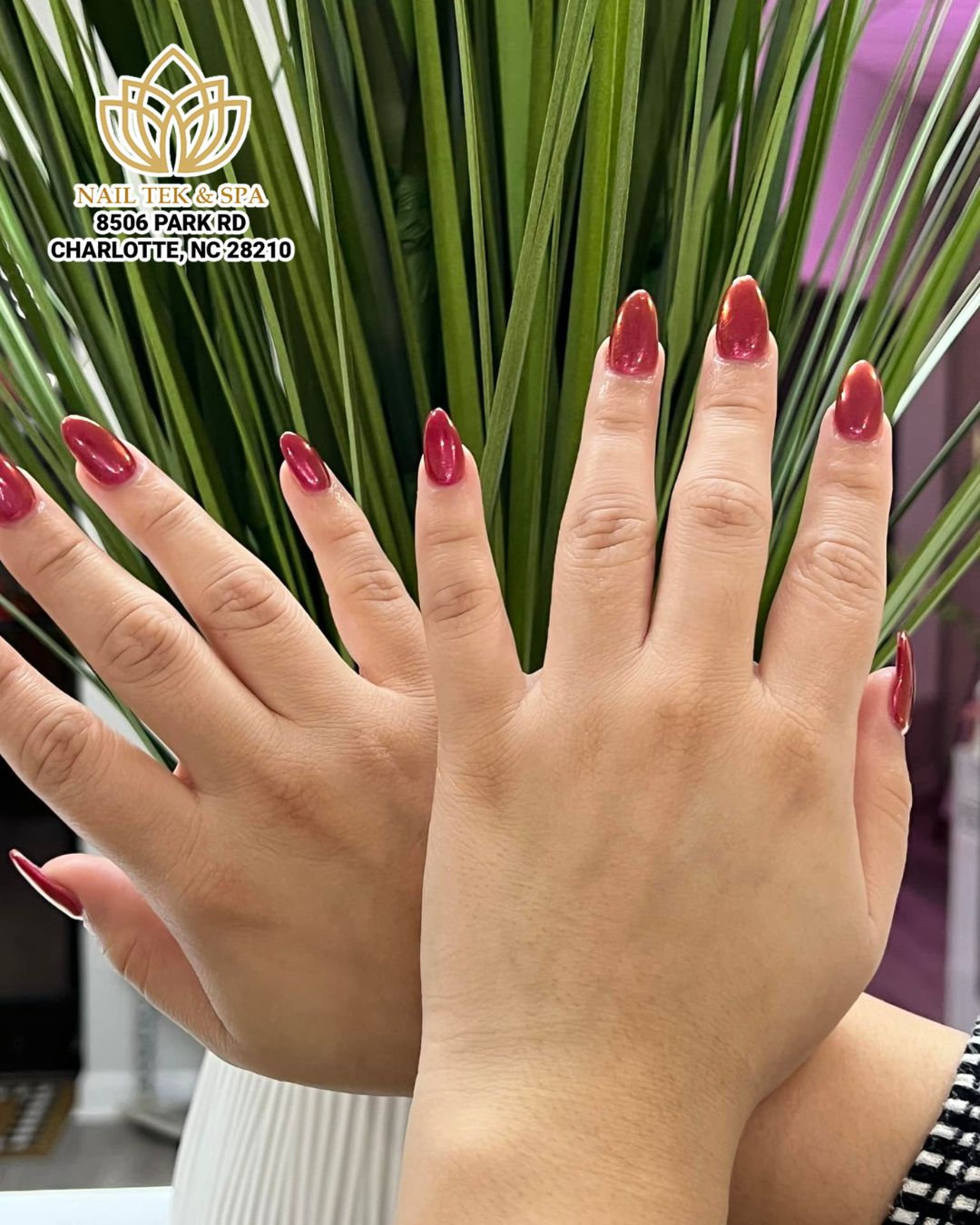 Beautiful Nail Art Collection